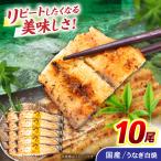 うなぎ白焼き 10尾