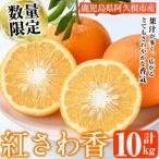 紅さわ香 10kg