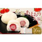 至福 あまおう大福 16個