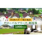 グローバルアリーナ 利用券 1000円分×3枚