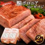 二の岡ハム ボロニアソーセージ 1040g×2本