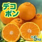 ご デコポン約5kg 濃厚ぷりっぷりっ♪