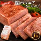 二の岡ハム ボロニアソーセージ 1040g×1本