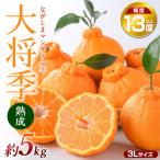 熟成 ながしまマンダリン王 大将季 約5kg