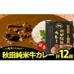 245P2907 秋田純米牛カレー12個入り