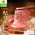 松阪牛 焼肉 食べ比べ 霜降り 赤身 800g
