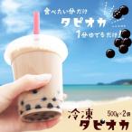 もちもち タピオカ 500g×2袋