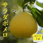 でっかいおいしさ サラダポメロ