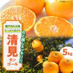 清見タンゴール 5kg