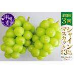 ふるさと納税 【定期便】甲州市産厳選旬のシャインマスカット1kg以上2房×3回【2025年発送】(MG)D33-101 【シャインマスカット 葡萄 ぶど.. 山梨県甲州市