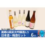 美郷の純米大吟醸酒入り 日本酒 梅酒セット6本入