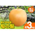 梨 旬の梨 約 3kg