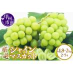ショッピングふるさと納税 シャインマスカット ふるさと納税 甲州市産 厳選 シャインマスカット 約1.8〜2kg（2〜5房）【2026年発送】（APX）B18-195 シャインマスカット フルーツ 山梨県甲州市
