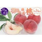 ふるさと納税 甲州市産 厳選 もも約3kg(6〜12玉)【2025年発送】(APX)B15-197【桃 もも モモ 令和7年発送 期間限定 山梨県産 甲州市 フルーツ.. 山梨県甲州市