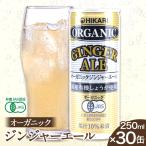 ジンジャーエール 30缶