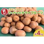 ふるさと納税 [訳あり] ちっちゃなキウイフルーツ (約4kg) 有機栽培 [黒澤農園]｜数量限定 期間限定 キウイ ヘイワード 果物 果実 フルーツ 農家.. 群馬県甘楽町