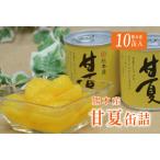 B45-13 甘夏缶詰 10缶入
