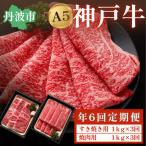 牛肉 定期便 年6回 神戸牛