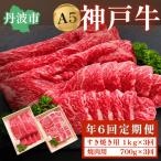 牛肉 神戸ビーフ 定期便 年6回 神戸牛
