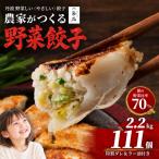 冷凍生餃子 111個