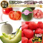 いちご 全4回 定期便 贅沢 フルーツ 満喫コース