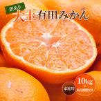 大きな有田みかん10kg+250g