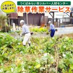 除草作業