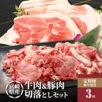 黒毛和牛切落し1kg 500g×2P