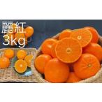 早川農園の麗紅 れいこう 3kg