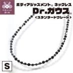 Dr.ガウス スタンダードグレード