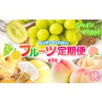 ショッピングふるさと納税 定期便 ふるさと納税 旬の フルーツ 定期便 全3回 桃 約1.3kg (5〜7玉前後) シャインマスカット 約1.3kg (2房) 梨 約4kg (3〜8玉前後)  《2024年8月上旬.. 岡山県矢掛町