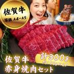 佐賀牛 赤身 焼肉セット 300g:B120-058