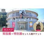 入場券 優待券 大人ペア 常設展+特別展 セット入館チケット