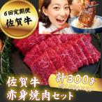 牛肉 バラ カルビ 定期便6回 佐賀牛 焼肉 食べ比べセット