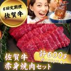 牛肉 バラ カルビ 定期便6回 佐賀牛 赤身焼肉セット