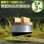 米 自然栽培米 にこまる 白米 3kg