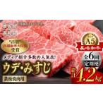 長崎和牛 ミスジ ウデ肉 焼肉用 スライス 700g