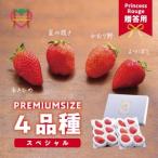いちご4品種スペシャルセット いちご