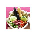 �ӂ邳�Ɣ[�� �a�炬�_�@�@�������̐H������V��؁@�I���s�Y�@�{�̖�ؕ� �I���s / ������Ё@���_�P�� [BIBM001] ���ꌧ�I���s