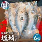 a18-111 塩鯖6セット さば 鯖 サバ
