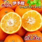 約7.5kg