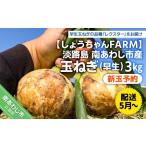 ショッピングふるさと納税 玉ねぎ ふるさと納税 【新玉予約】【しょうちゃんFARM】淡路島　南あわじ市産玉ねぎ3kg　早生　◆配送5月〜 兵庫県南あわじ市