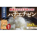 ショッピングふるさと納税 定期便 ふるさと納税 【先行予約】【一等米】令和6年産 ＜定期便6回＞ ハナエチゼン 精米 10kg×6回（60kg）《発送直前精米！》  ／ ブランド米 .. 福井県あわら市