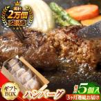 ハンバーグ 5個入
