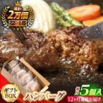 ハンバーグ 5個入ふわとろハンバーグ