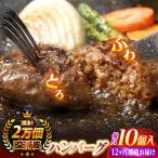 ハンバーグ 10個入ふわとろハンバーグ