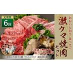 激ウマ 焼肉 セット 牛肉 和牛