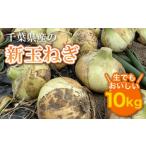 fu.... налог [ предшествующий прием ] Chiba префектура производство новый шар лук порей 10kg сырой тоже ....![. мир 8 год 5 месяц сверху . из последовательный отправка ] AD001 Chiba префектура большой сеть белый . город 