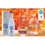 酒 日本酒 令和6年産 純米大吟醸 稀世 秋上がり 720ml