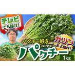 fu.... налог < полный небо * синий пустой ресторан . представление > кориандр нравится поэтому. кориандр 1kg.. сельское хозяйство .[UBF009] Saga префектура . самец город 